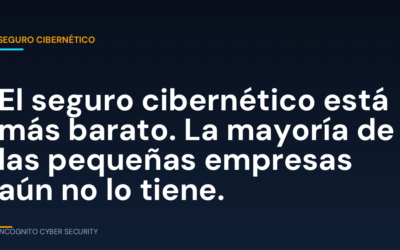 El seguro cibernético está más barato. La mayoría de las pequeñas empresas aún no lo tiene.